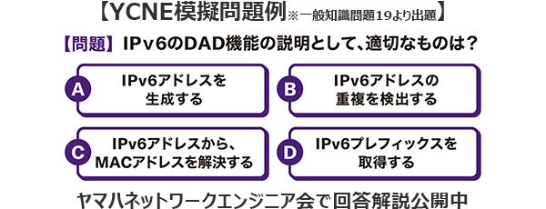 YCNE模擬問題例