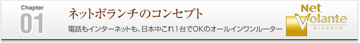 01 ネットボランチのコンセプト