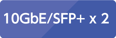 10GbE/SFP+ x2