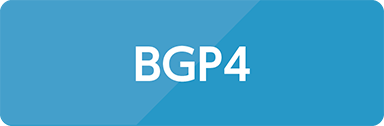 BGP4
