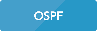 OSPF