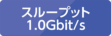スループット 1.0Gbit/s