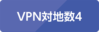 VPN対地数 4