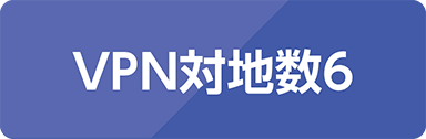 VPN対地数 6