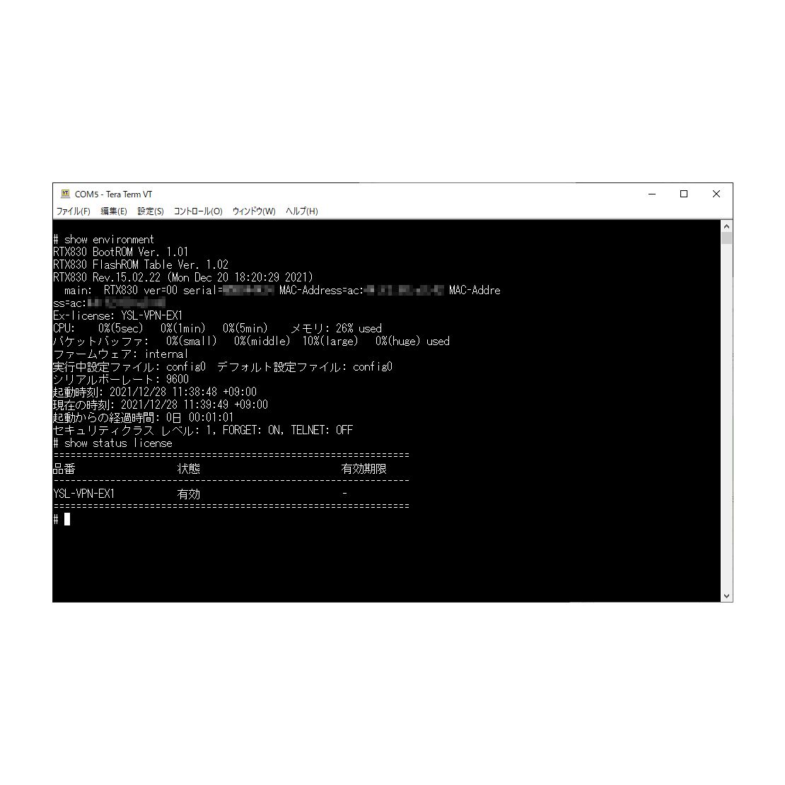 YSL-VPN-EX1